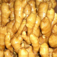 New Crop Fresh Ginger From Shandong China